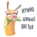 Стикер Лама Лимон #37 ВКонтакте