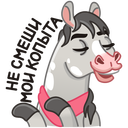 Стикер Макар #6 ВКонтакте