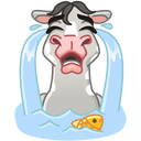 Стикер Макар #29 ВКонтакте