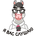 Стикер Макар #35 ВКонтакте