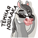 Стикер Макар #38 ВКонтакте