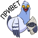 Стикер Голубь Михаил #1 ВКонтакте