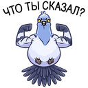 Стикер Голубь Михаил #6 ВКонтакте