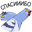 Стикер Голубь Михаил #26 ВКонтакте