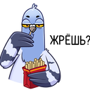 Стикер Голубь Михаил #30 ВКонтакте