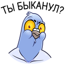 Стикер Голубь Михаил #32 ВКонтакте