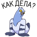 Стикер Голубь Михаил #41 ВКонтакте