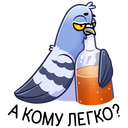 Стикер Голубь Михаил #44 ВКонтакте