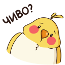 Стикер Птенчик #4 ВКонтакте