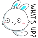 Стикер Кролик Олег #75 ВКонтакте