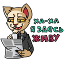 Стикер Мудакот #16 ВКонтакте