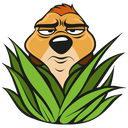 Стикер Тимон и Пумба #14 ВКонтакте