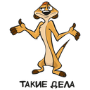 Стикер Тимон и Пумба #21 ВКонтакте