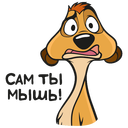 Стикер Тимон и Пумба #25 ВКонтакте