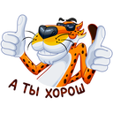 Стикер Честер #11 ВКонтакте