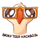 Стикер Гусь Федька #32 ВКонтакте