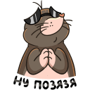 Стикер Рой #31 ВКонтакте