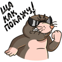 Стикер Рой #35 ВКонтакте