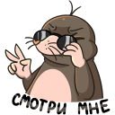 Стикер Рой #44 ВКонтакте