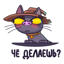 Стикер Кот Сима #2 ВКонтакте