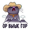 Стикер Кот Сима #5 ВКонтакте