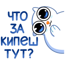 Стикер Котовичок #11 ВКонтакте
