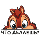 Стикер Чип и Дейл #21 ВКонтакте