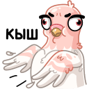 Стикер Голуба #5 ВКонтакте