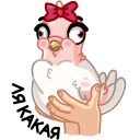 Стикер Голуба #26 ВКонтакте