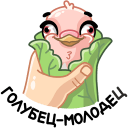 Стикер Голуба #36 ВКонтакте