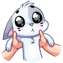 Стикер Бисквит #13 ВКонтакте