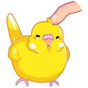 Стикер Попуги #1 ВКонтакте