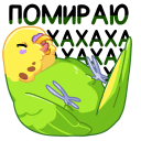 Стикер Попуги #9 ВКонтакте