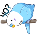 Стикер Попуги #10 ВКонтакте