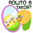 Стикер Попуги #36 ВКонтакте