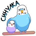 Стикер Попуги #39 ВКонтакте