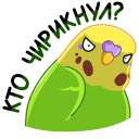 Стикер Попуги #47 ВКонтакте