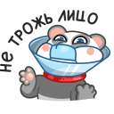 Стикер Панда Мия #17 ВКонтакте