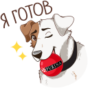 Стикер Питомцы #10 ВКонтакте