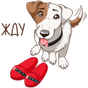 Стикер Питомцы #23 ВКонтакте