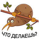 Стикер Киви Стиви #6 ВКонтакте