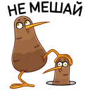 Стикер Киви Стиви #8 ВКонтакте