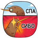 Стикер Киви Стиви #13 ВКонтакте