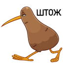 Стикер Киви Стиви #42 ВКонтакте