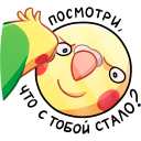 Стикер Кент #26 ВКонтакте