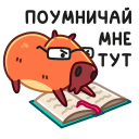 Стикер Пиби #12 ВКонтакте