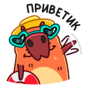 Стикер Пиби #29 ВКонтакте