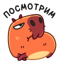 Стикер Пиби #36 ВКонтакте