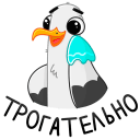 Стикер Чайка Сэм #25 ВКонтакте