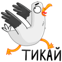 Стикер Чайка Сэм #46 ВКонтакте